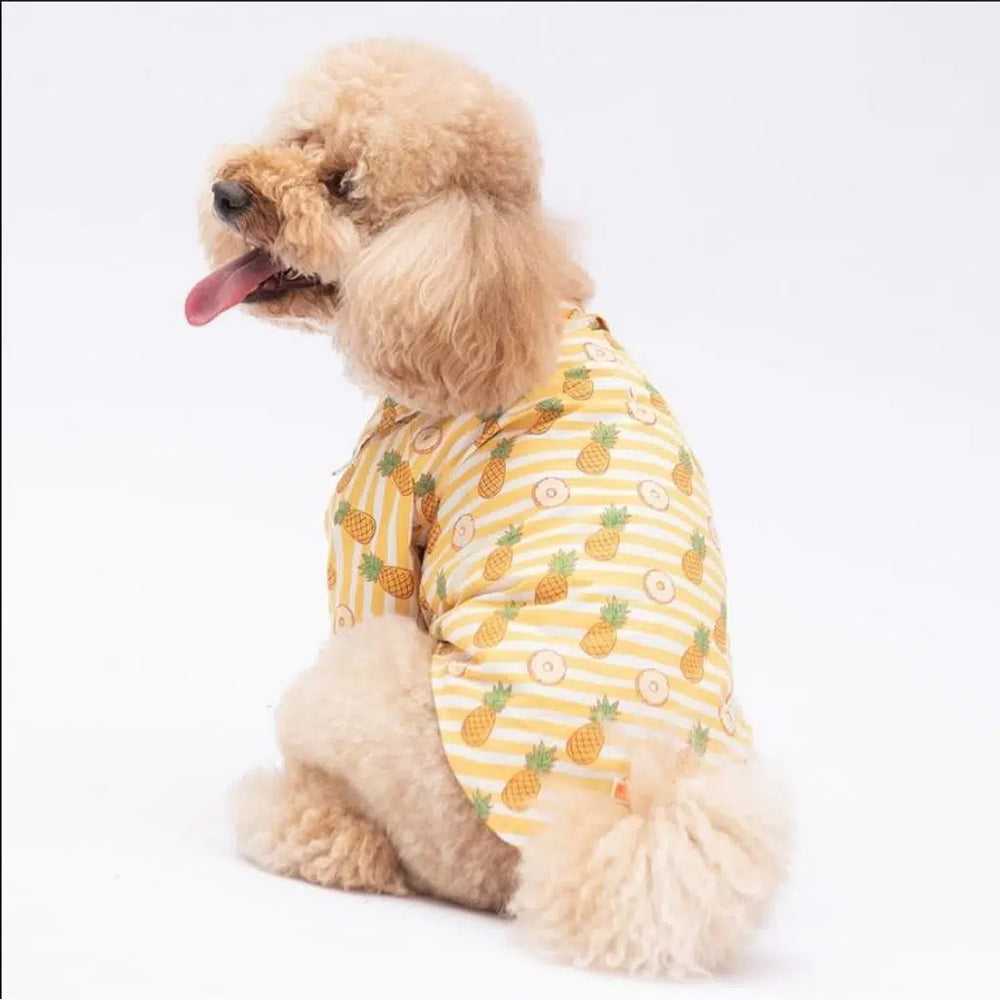 Pawstar Panama City Patterned Shirt for Dogs L