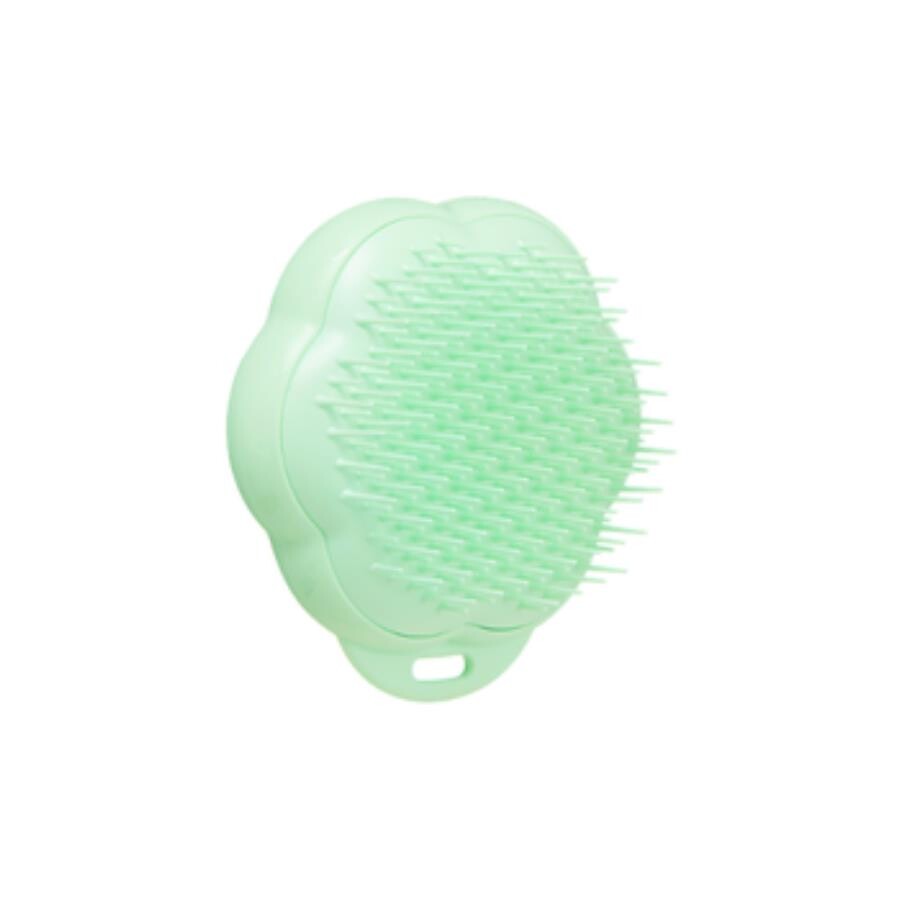Pet Teezer Cat Grooming and Massage Brush Green 1 Count