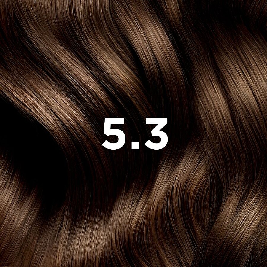 Phyto Phytocolor 5.3 Light Golden Chestnut Hair Dye 2-Pack