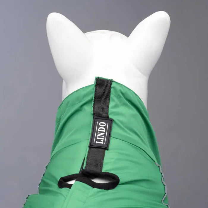 Lindo Quattro Nebula Waterproof Dog Raincoat for All Seasons