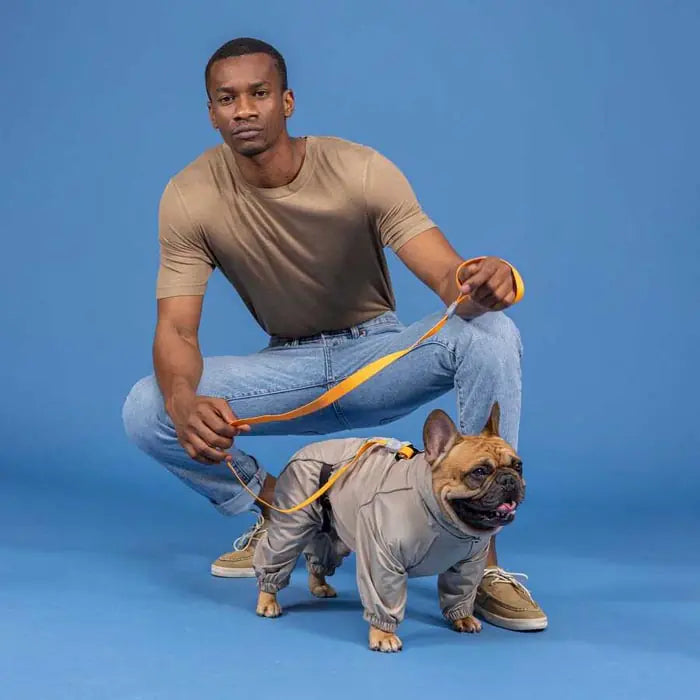 Lindo Quattro Sirius Waterproof Windproof Dog Raincoat