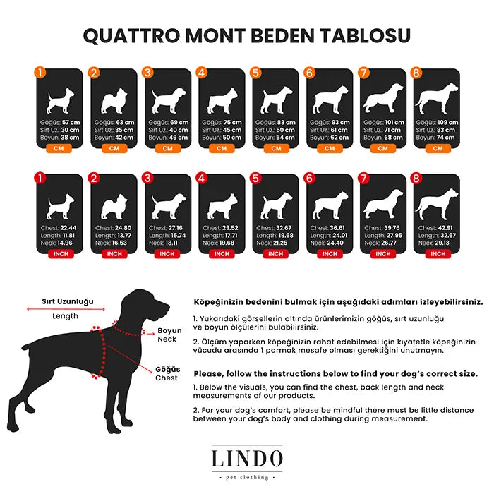 Lindo Quattro Vega Waterproof Dog Raincoat for Small & Medium Breeds