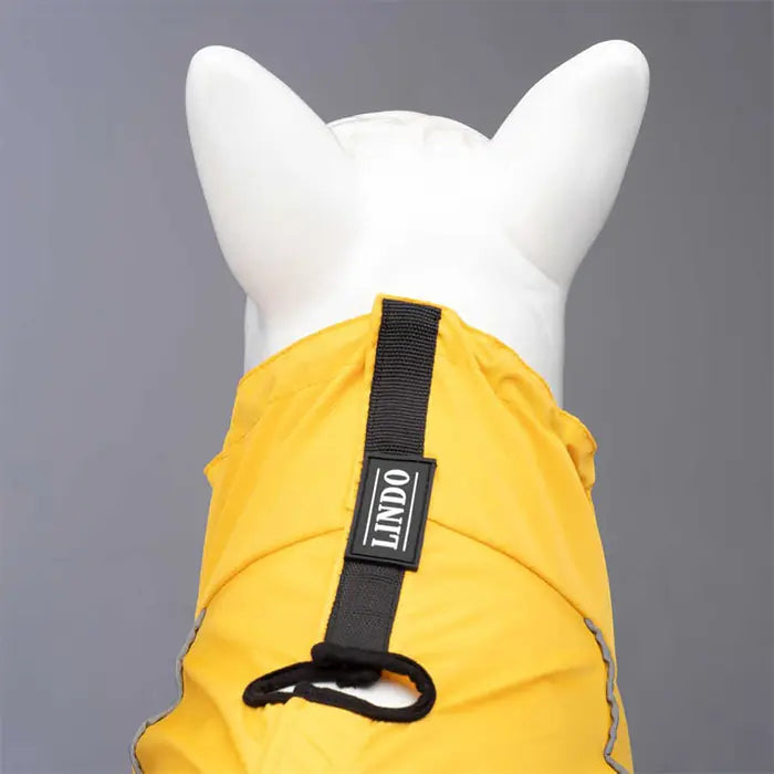 Lindo Quattro Vega Waterproof Dog Raincoat for Small & Medium Breeds