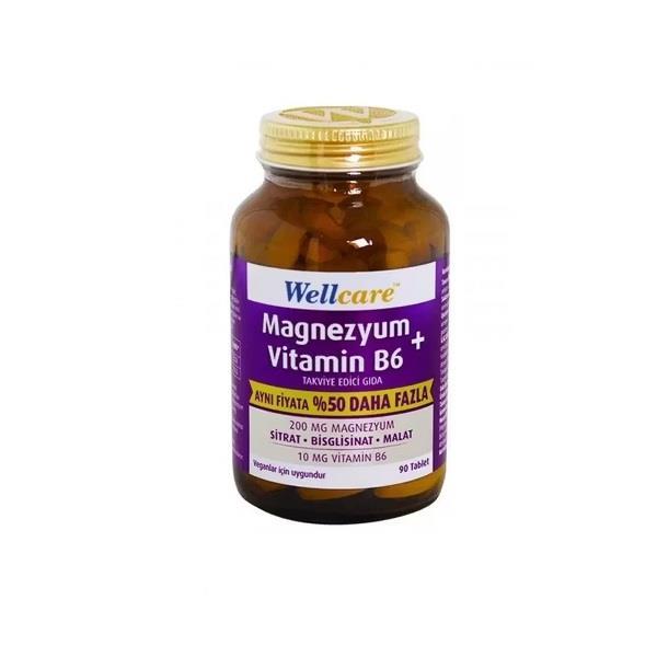 Wellcare Magnesium &amp; Vitamin B6 Daily Wellness Support, 90 Tablets