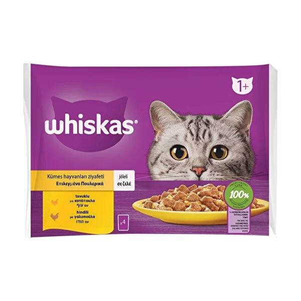 Whiskas Wet Cat Food Pouches: Chicken & Turkey, Healthy Coat & Urinary Support, Complete Nutrition Whiskas Wet Cat Food: Healthy Coat & Urinary Support wet cat food, cat food pouches, healthy cat food, cat food with zinc, cat food for healthy coat, cat food for urinary health, chicken cat food, turkey cat food, Whiskas cat food, cat food, pet food, cat nutrition, healthy skin, shiny coat, urinary health, balanced minerals, chicken flavor, turkey flavor, cat meals, cat supplies, Whiskas, wet food, complete n