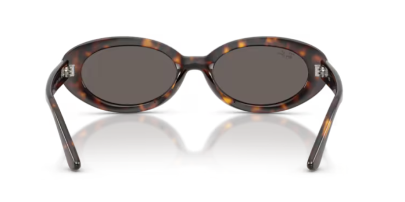 Ray-Ban 0RB2223 902/B1 Women's Classic Sunglasses 54mm