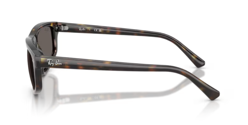 Ray-Ban 0RB2225 710/B1 Classic Men's Sunglasses 57mm