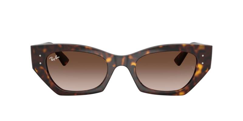 Ray-Ban 0RB4430 13591349 Men's Sunglasses Brown Lens 49mm