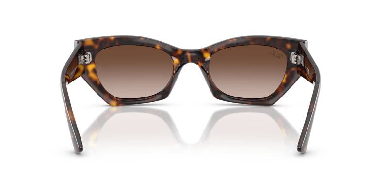 Ray-Ban 0RB4430 13591349 Men's Sunglasses Brown Lens 49mm