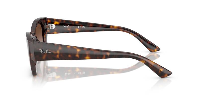 Ray-Ban 0RB4430 13591349 Men's Sunglasses Brown Lens 49mm