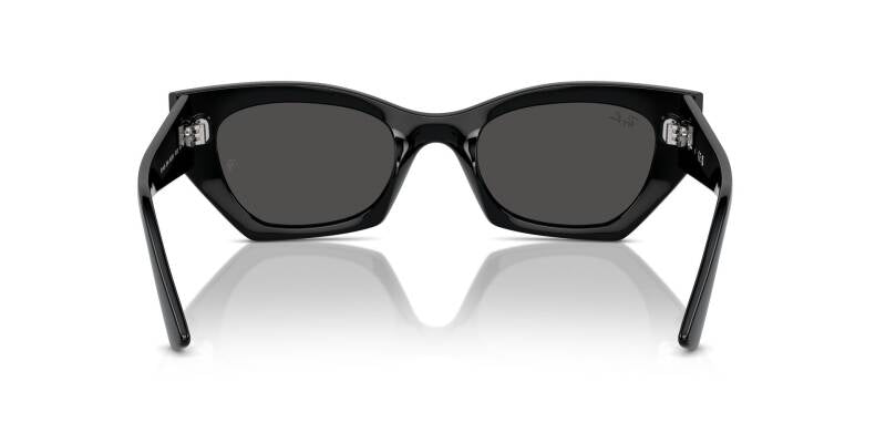 Ray-Ban 0RB4430 66778749 Unisex Classic Sunglasses 49mm
