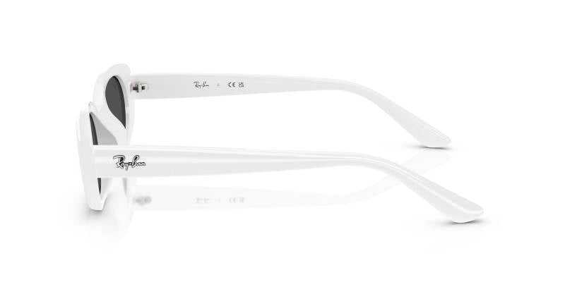 Ray-Ban 0RB4441D 67728753 Unisex Square Sunglasses 53mm