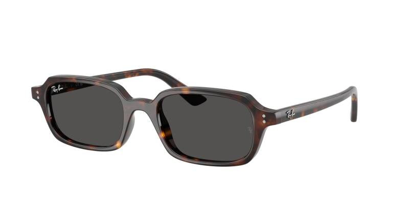 Ray-Ban 0RB4455 13598752 Men's Sunglasses Grey Lenses 52mm