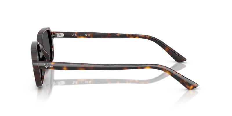 Ray-Ban 0RB4455 13598752 Men's Sunglasses Grey Lenses 52mm