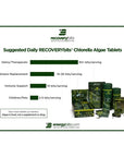 RECOVERYbits® | Small Bag
