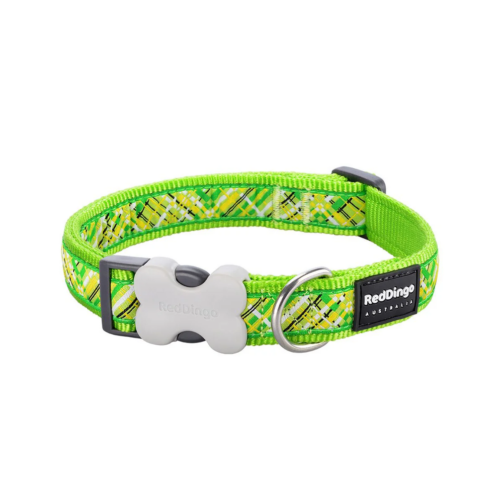 Red Dingo Flanno Patterned Dog Collar Lime Large 25mm