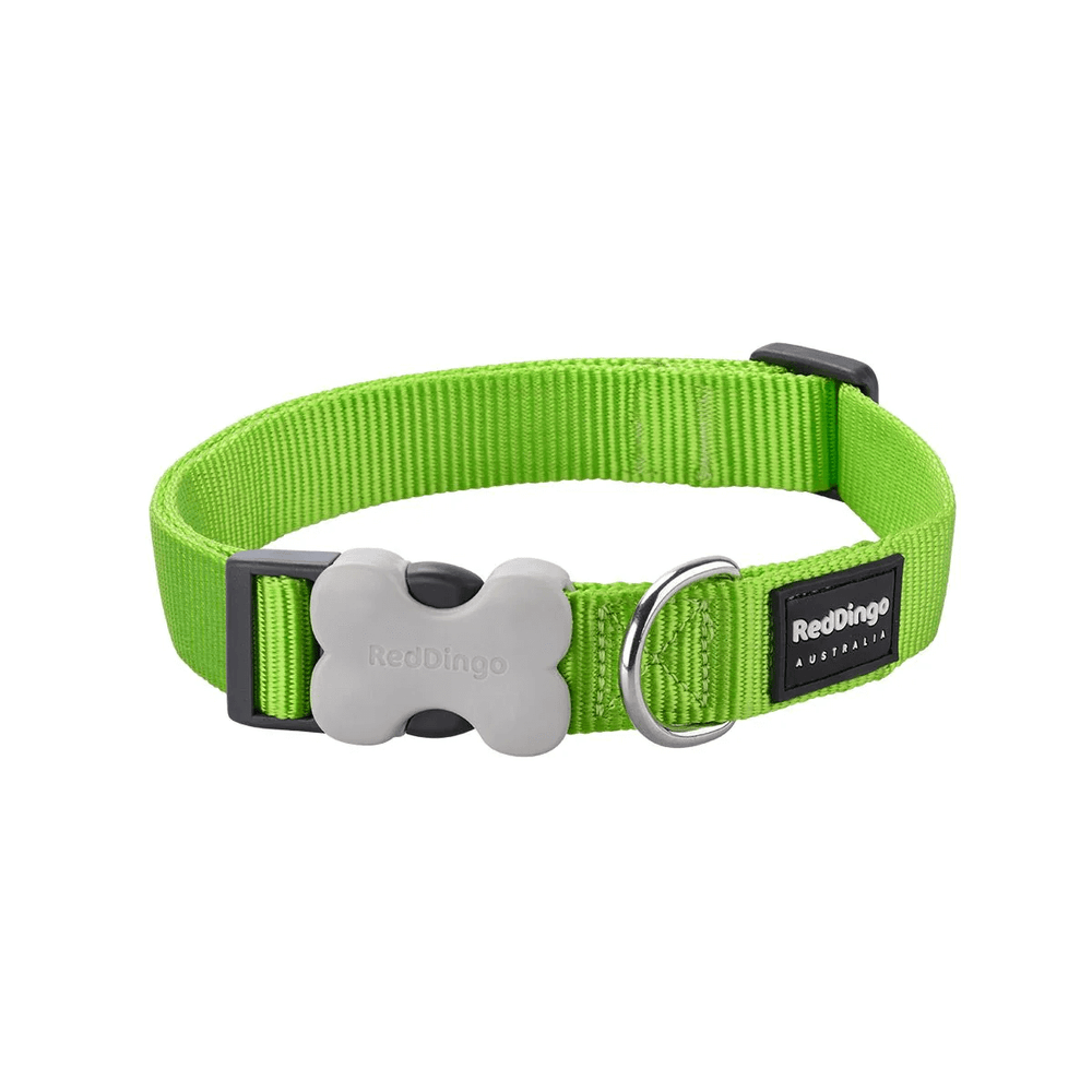Red Dingo Classic Bucklebone Dog Collar 20mm Medium Lime 31-47cm