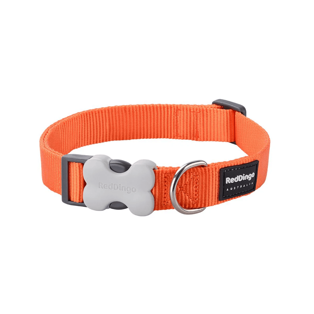 Red Dingo Classic Dog Collar 25mm Orange Large 16-25 in Nylon
