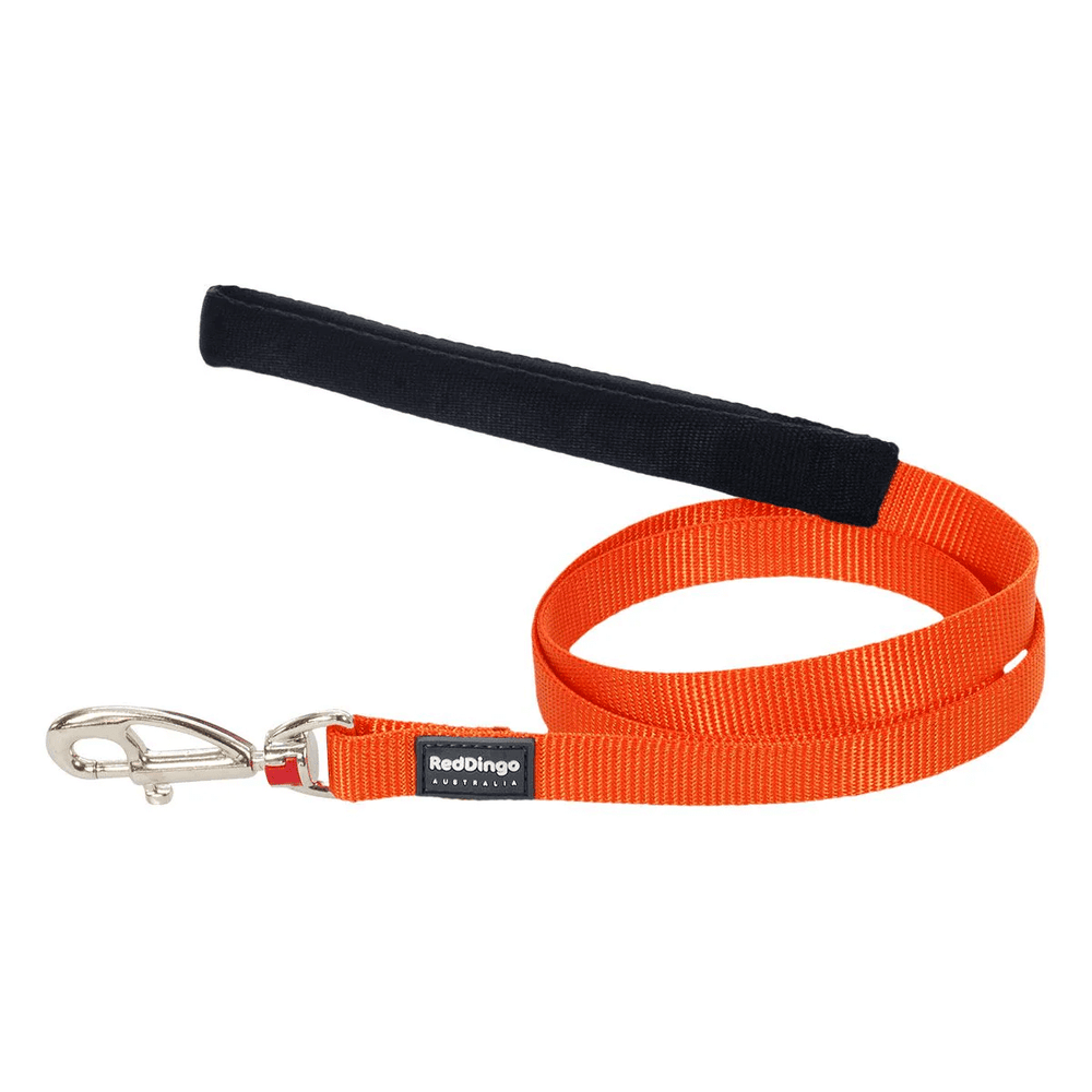Red Dingo Classic Dog Leash 20mm x 1.2m Medium Orange Nylon Walking Lead