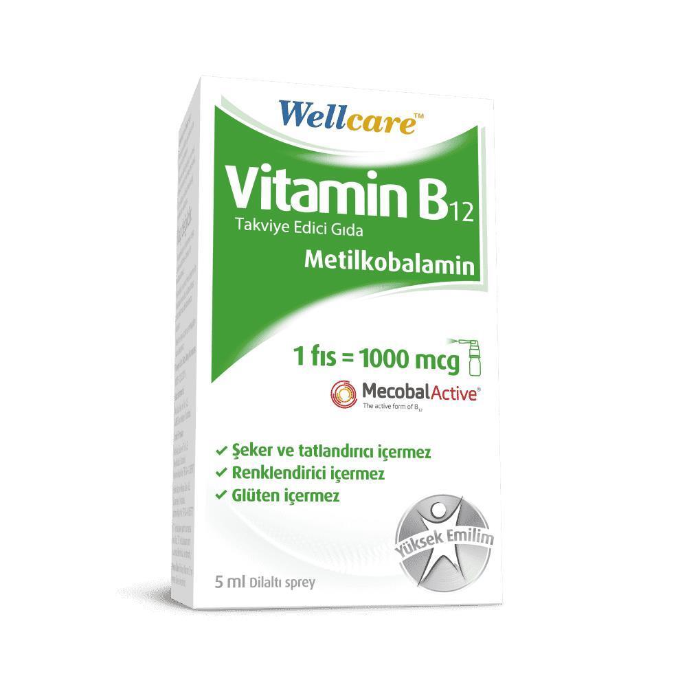 Wellcare Vitamin B12 Supplement - Methylcobalamin Energy Support 5ml - image 3