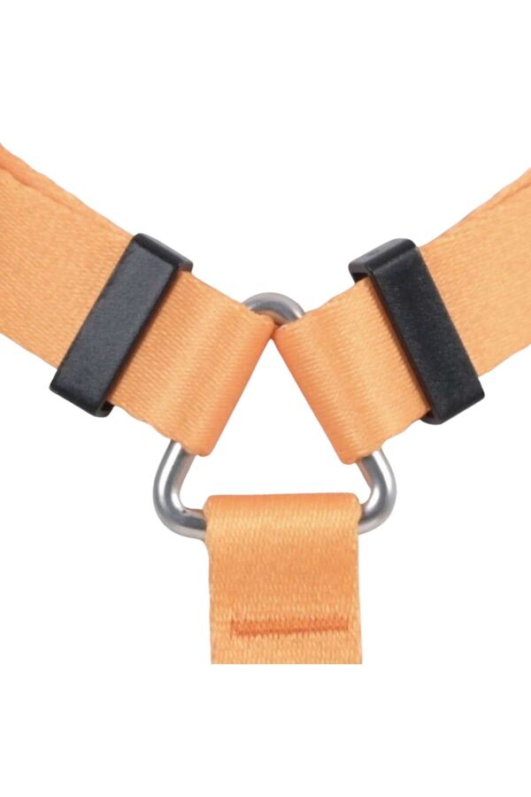 Lindo Royal H-Type Dog Harness Large for Secure Walking