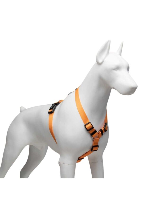 Lindo Royal H-Type Dog Harness for Secure Walking Medium