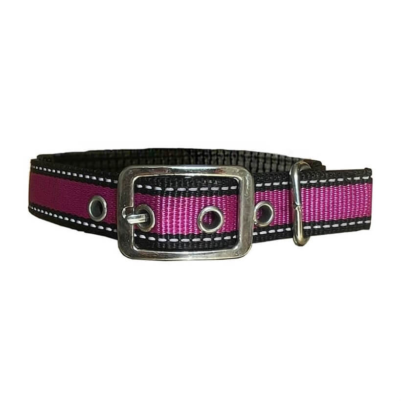 Royalepet Dog Collar with Reflective Thread for Night Walks, 51-58 cm