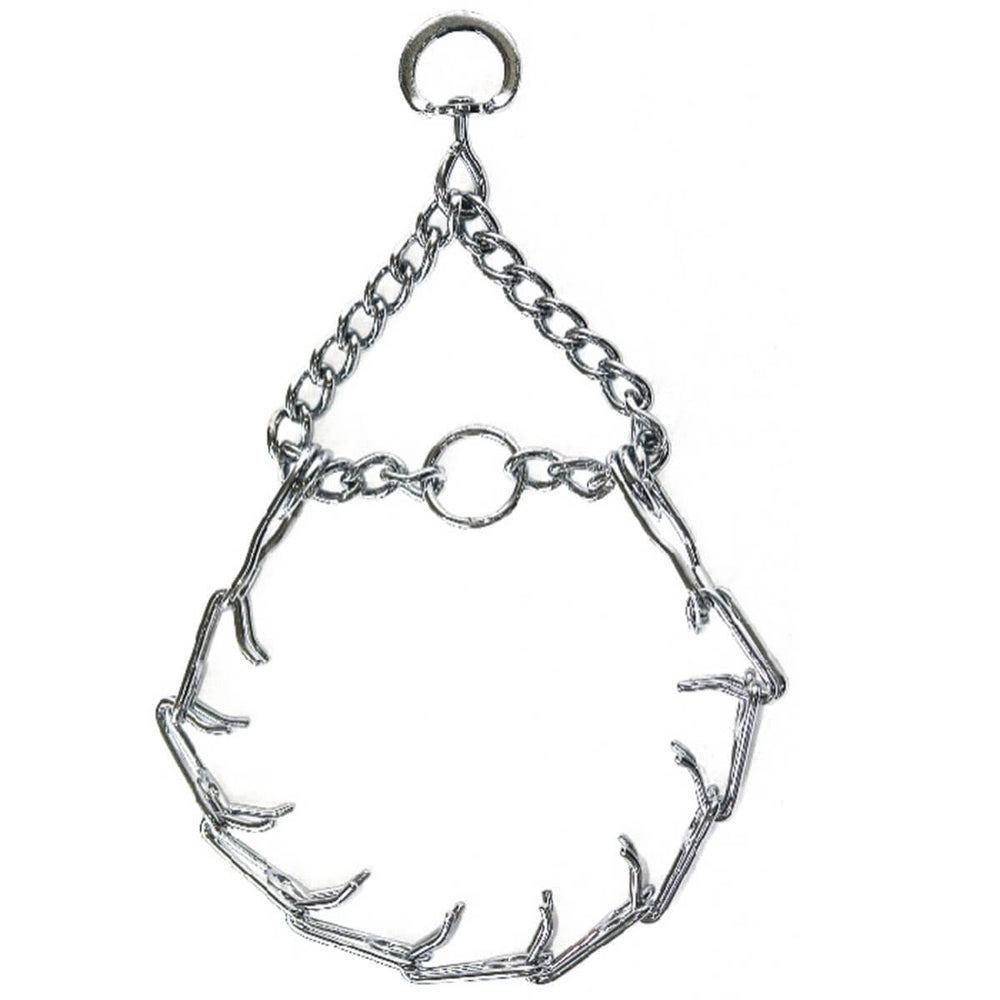 Royalpet Prong Dog Training Collar Chrome Plated Large
