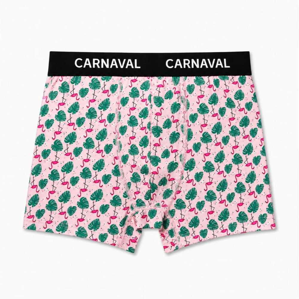 Carnaval Socks Flamingo Print Men's Boxer Briefs Medium 1 Count