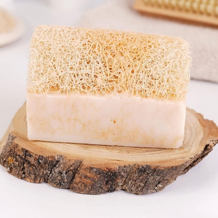 Sinoz Goat Milk Soap with Natural Loofah for Face & Body 130g