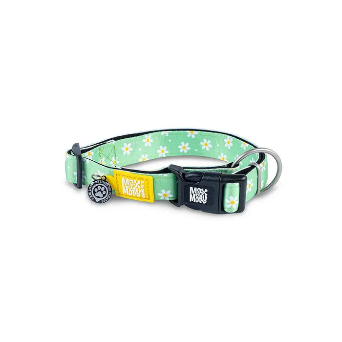 Max & Molly Margarite Smart ID Dog Collar Large