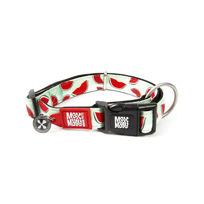 Max & Molly Watermelon Smart ID Dog Collar Extra Small