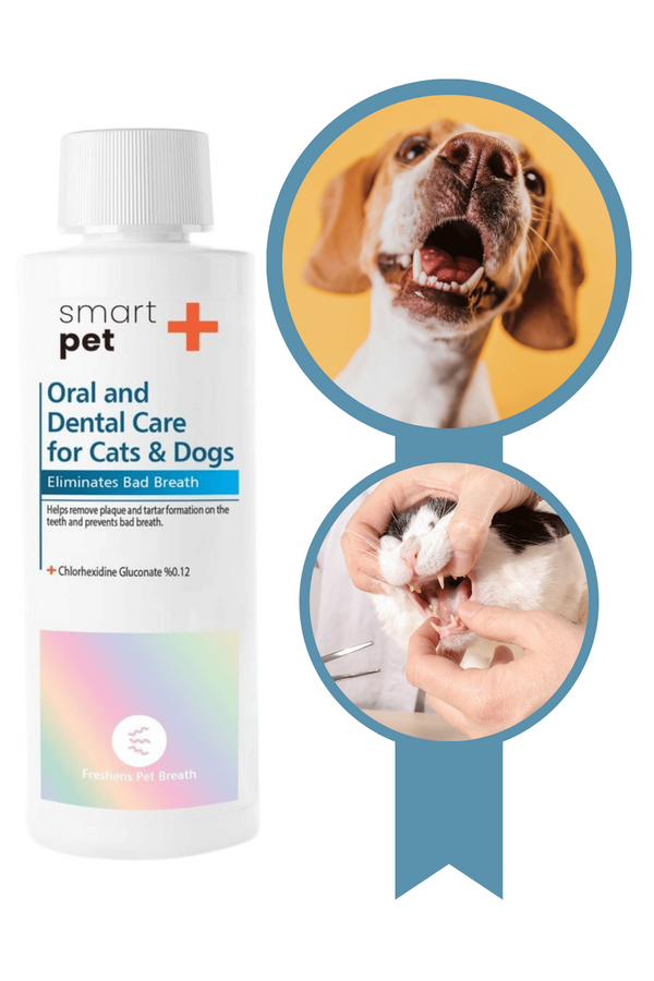 Smartpet + Oral and Dental Care for Cats and Dogs 250ml