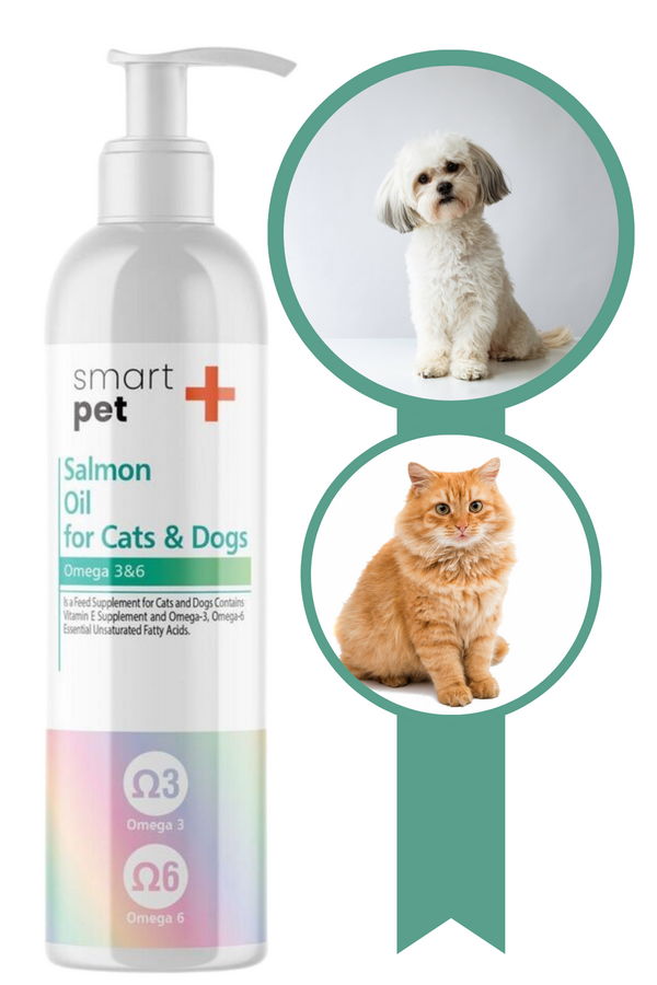 Smartpet Plus Salmon Oil Omega Support for Cats & Dogs 250ml