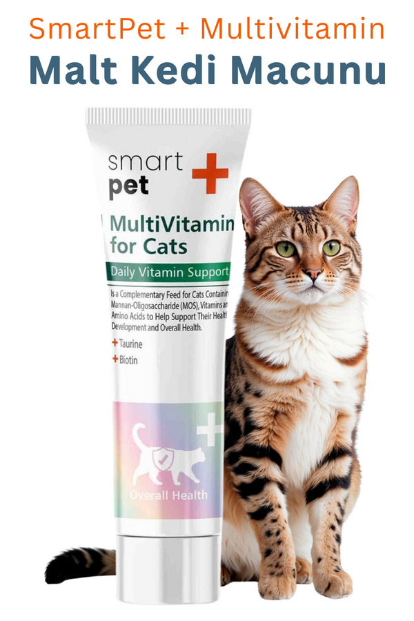 SmartPet+ Multivitamin Cat Paste for Immune Support 100ml