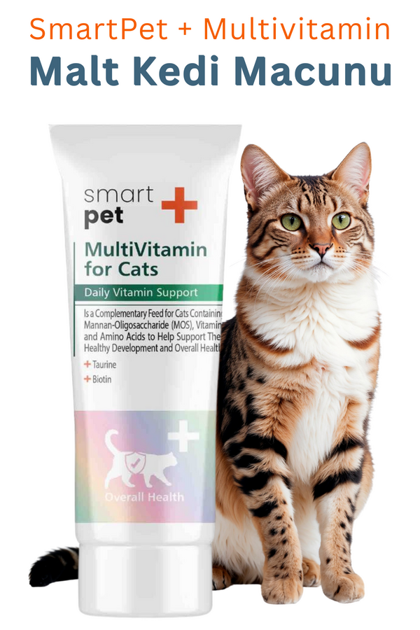 Smartpet + Multivitamin Cat Paste for Immune Support 25ml