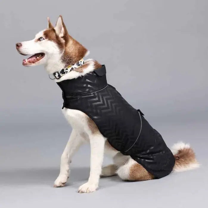 Lindo Softshell Black Stripe Waterproof Dog Raincoat