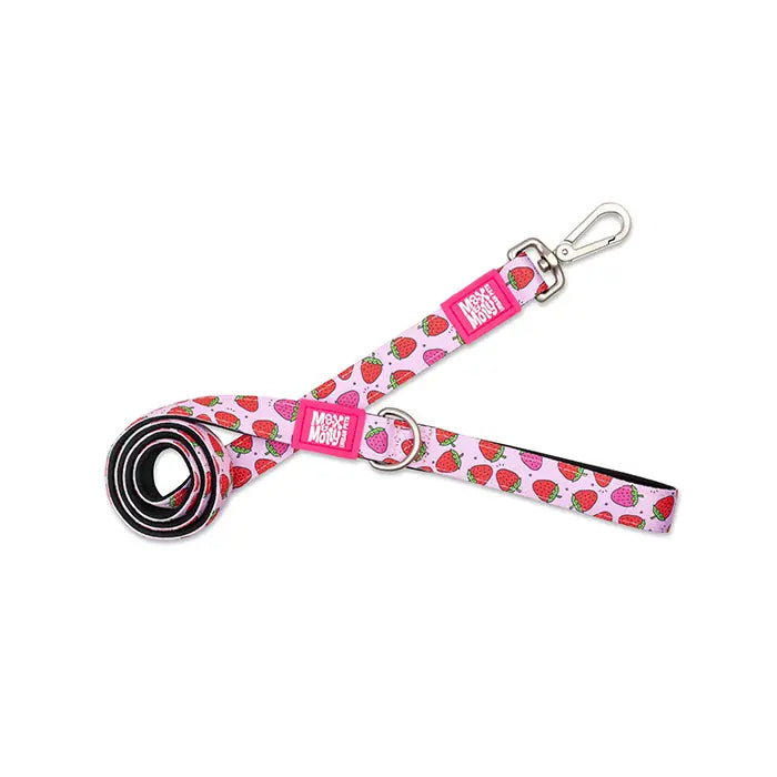 Max & Molly Strawberry Dream Dog Leash Comfort Padded Medium