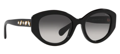Swarovski 6005 10018G Black Gradient Square Sunglasses