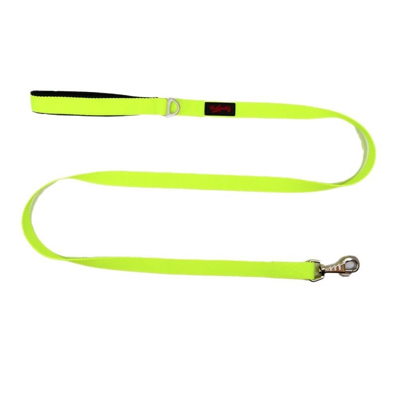 Tailpetz Match Leash Lime Dog Walking Leash, 2 cm x 130 cm