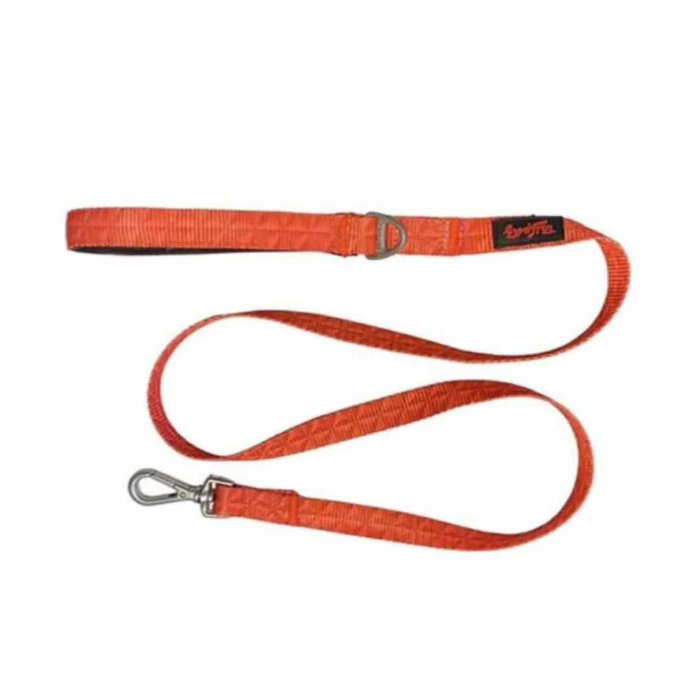 Tailpetz Prism Leash Durable Dog Lead Medium