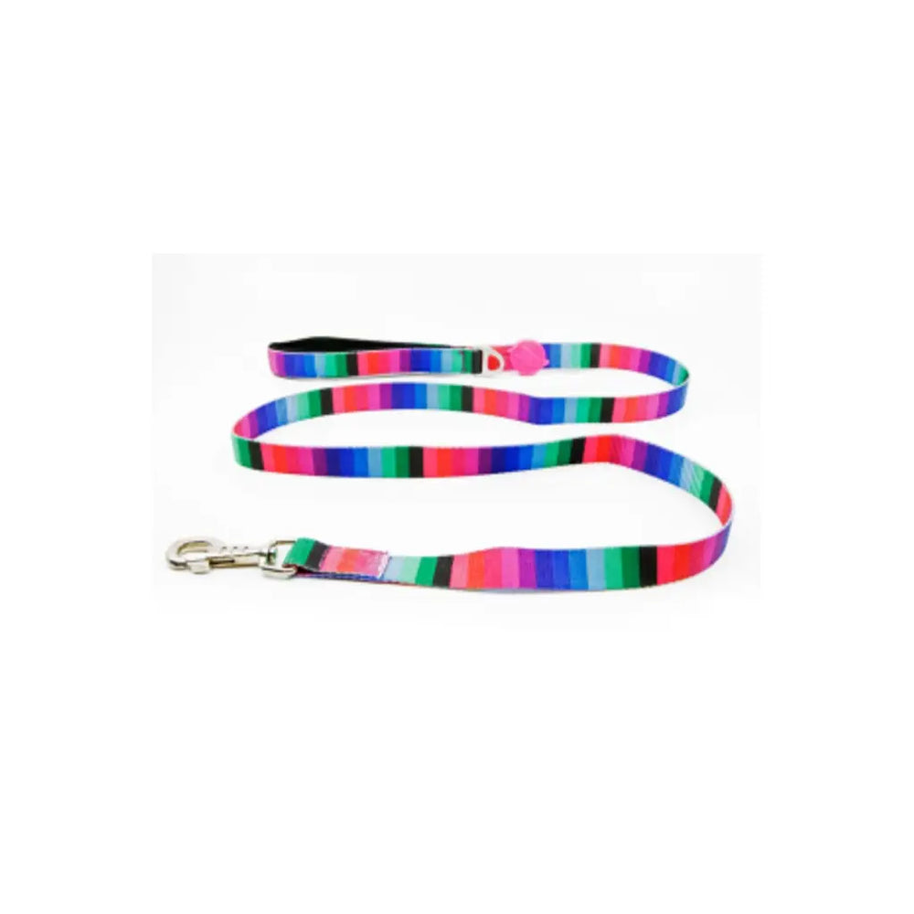 Tailpetz Wave Leash Sevk Tasmasi 120 cm x 2 cm