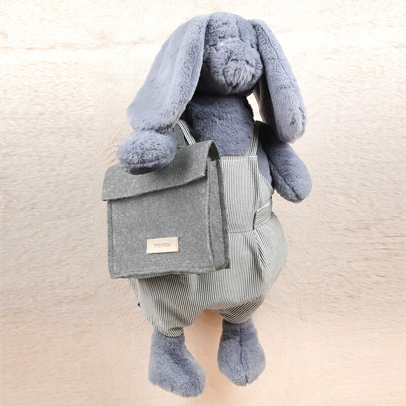 Toi Toi Maxi Pinn 365 Activity Plush Toy with Felt Bag