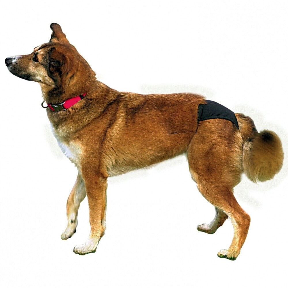 Trixie Hygienic Dog Diaper Pants for Large Breeds Black XL