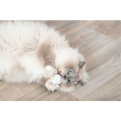 Trixie Catnip Ice Cream Plush Toy with Rustling Sound 7cm