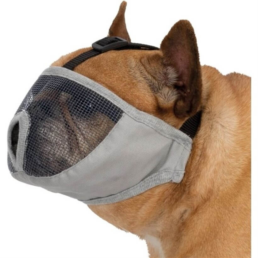 Trixie Short Snout Dog Muzzle Gray Medium - Adjustable Fit for Bulldogs