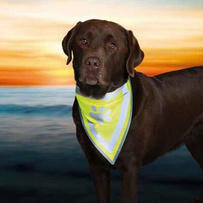 Trixie High-Visibility Dog Bandana Neon Green S-M 29-42cm