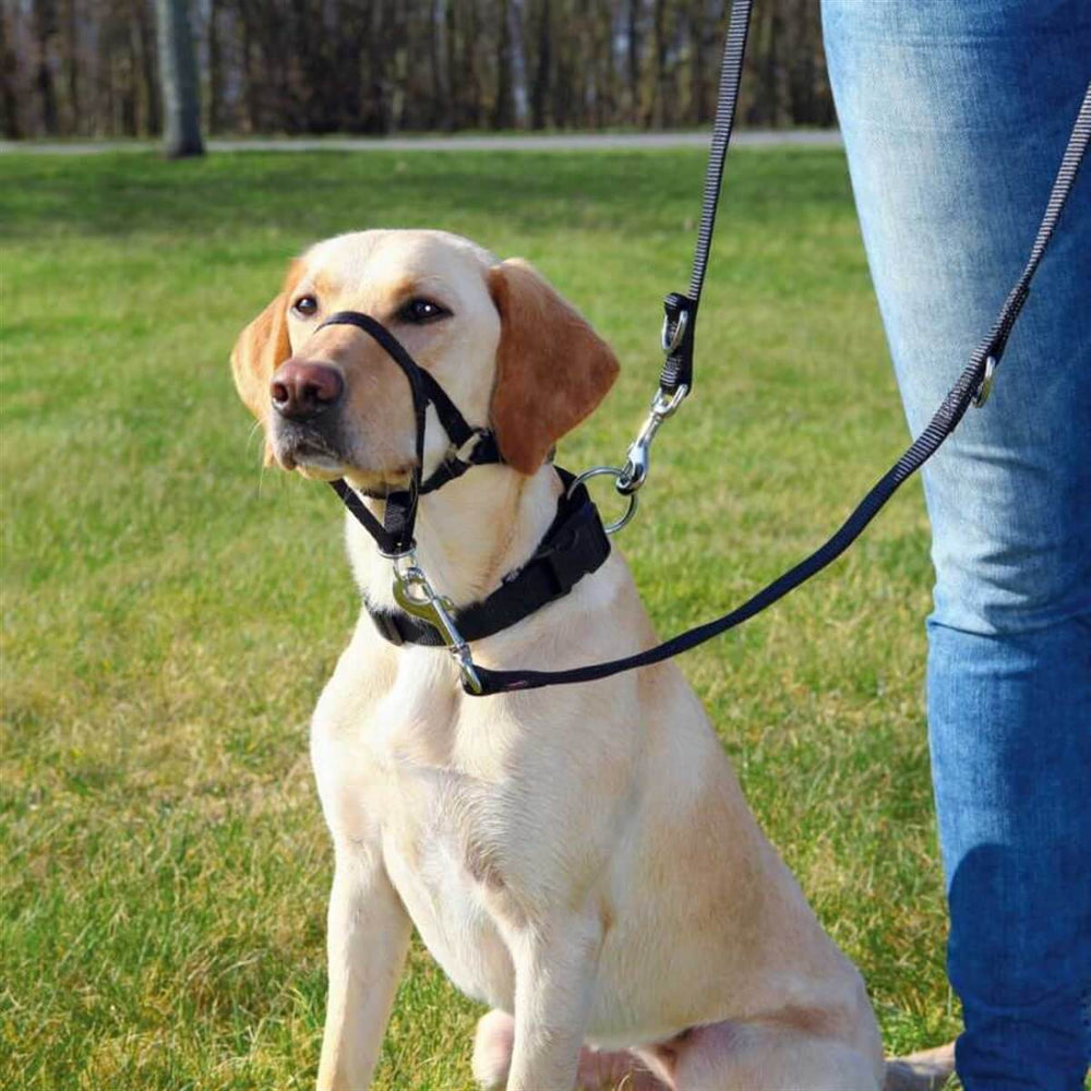 Trixie Dog Training Head Halter for Large Breeds 46cm