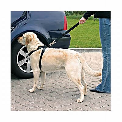 Trixie Dog Safety Belt and Harness Large 70-90cm