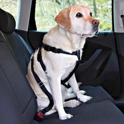 Trixie Dog Safety Belt and Harness Combo Small 30-60cm